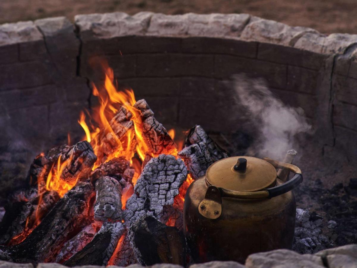 فندق موفنبيك ناباتيان كاستل وادي موسى المظهر الخارجي الصورة